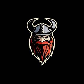 Viking iPhone 4k wallpaper