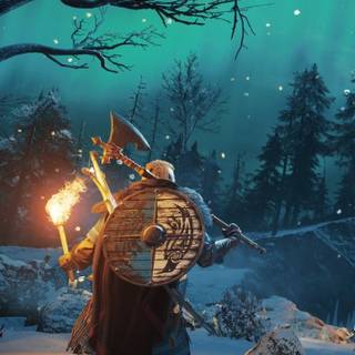 Viking iPhone 4k wallpaper