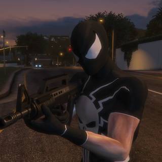 Frank Castle PS5 wallpaper