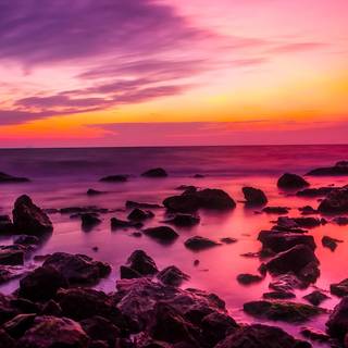 Chrome theme wallpaper