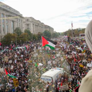 Free Gaza Movement wallpaper