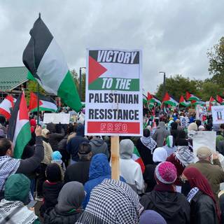 Free Gaza Movement wallpaper