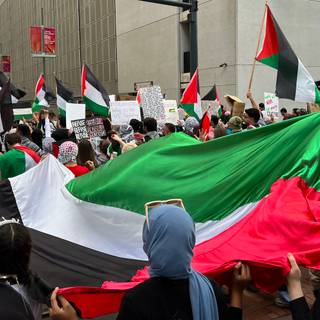 Free Gaza Movement wallpaper