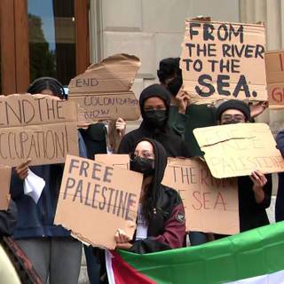 Free Gaza Movement wallpaper