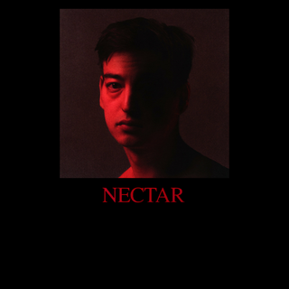 Joji album wallpaper