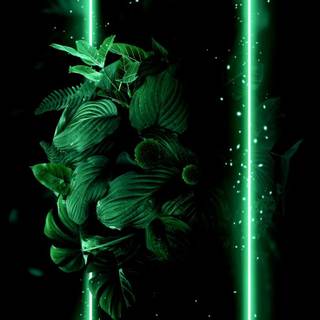 Cool black and green neon wallpaper