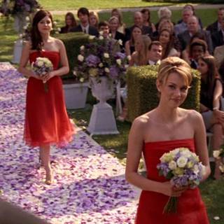 Haley James wallpaper