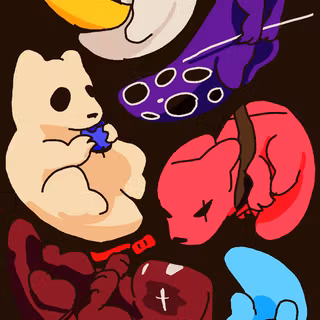 Slugcat wallpaper
