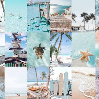 Beach collage computer wallpaper