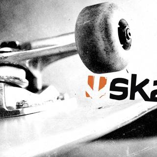 Skate. game wallpaper