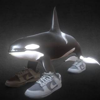 Orcalero Orcala wallpaper