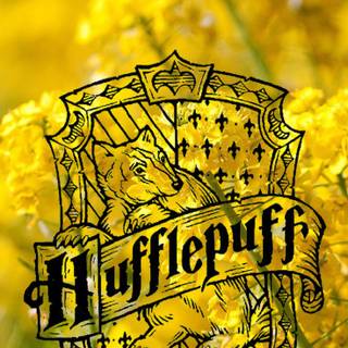 Hufflepuff mobile wallpaper
