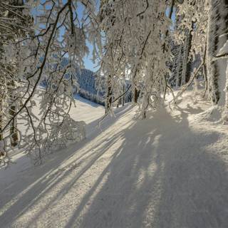 Cozy winter Chromebook wallpaper