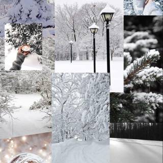 Winter aesthetic cute wallpaper