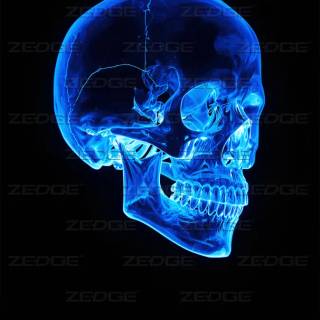 Neon blue skulls wallpaper