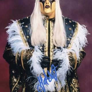 Dustin Rhodes wallpaper