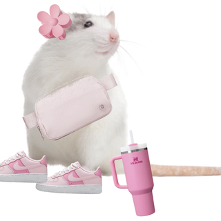 Preppy rats wallpaper