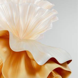 Huawei P60 wallpaper