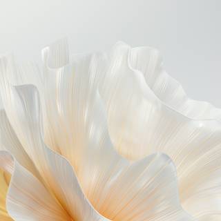 Huawei P60 wallpaper