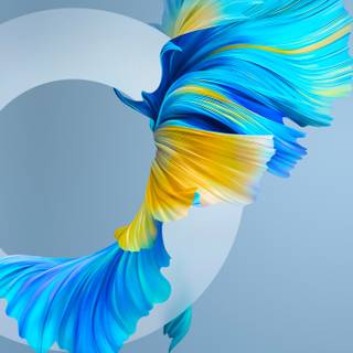 Huawei P60 wallpaper