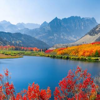 8k natural wallpaper