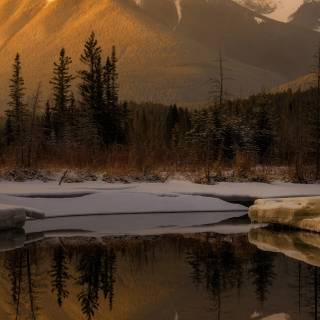 Nature 8k phone wallpaper