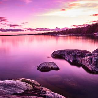 8k natural wallpaper