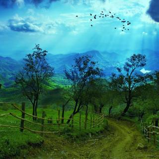 8k natural wallpaper