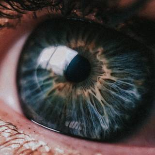 Galaxy eye wallpaper