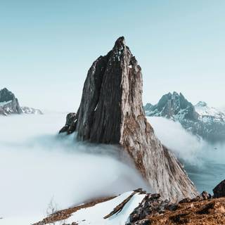 8k natural wallpaper