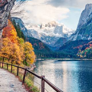 8k natural wallpaper