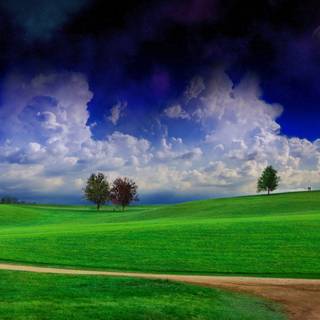 8k natural wallpaper