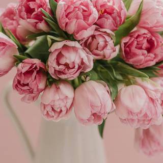 Flowers laptop wallpaper