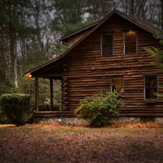 Wood house wallpaper