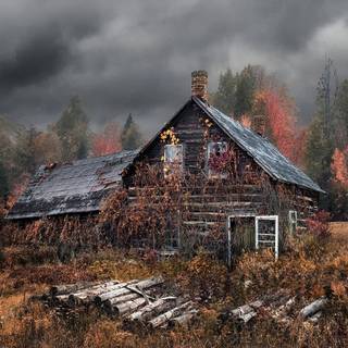 Wood house wallpaper