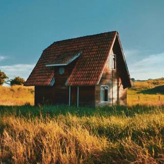 Wood house wallpaper