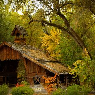Wood house wallpaper