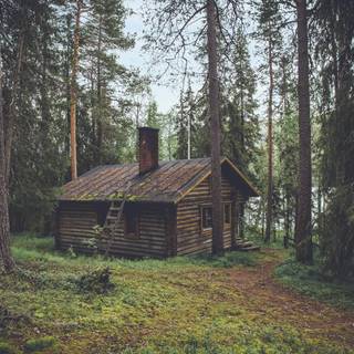 Wood house wallpaper