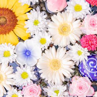 Flowers laptop wallpaper