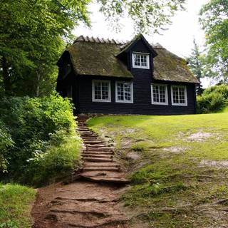 Wood house wallpaper