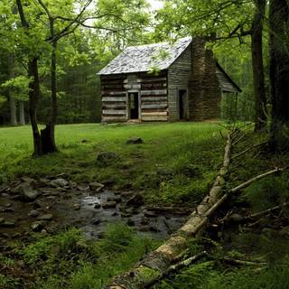 Wood house wallpaper