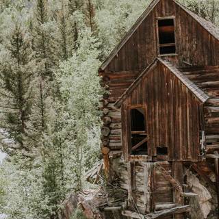 Wood house wallpaper