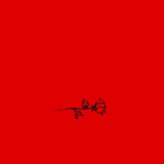 Red screen wallpaper