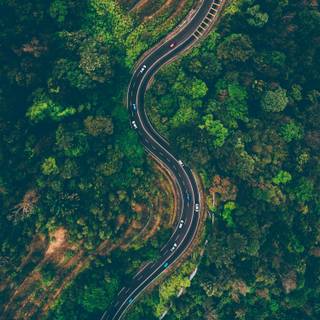 Car top view wallpaper