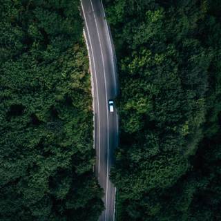 Car top view wallpaper