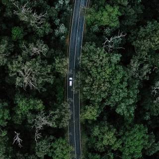 Car top view wallpaper