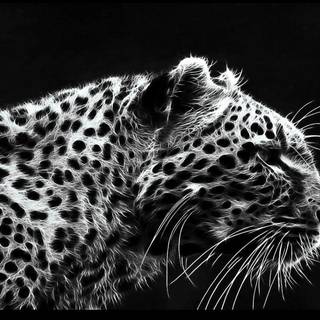 Leopard print desktop wallpaper