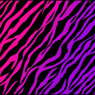 Leopard print desktop wallpaper