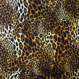 Leopard print desktop wallpaper
