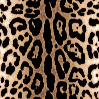 Leopard print desktop wallpaper